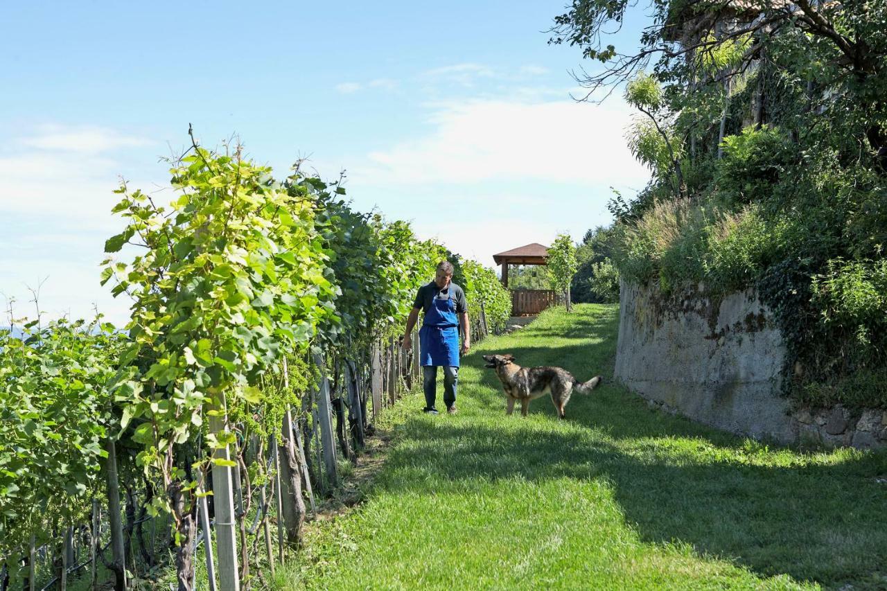 Engadiner Apartments & Wines Montagna Exterior foto